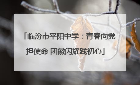 临汾市平阳中学：青春向党担使命 团徽闪耀践初心