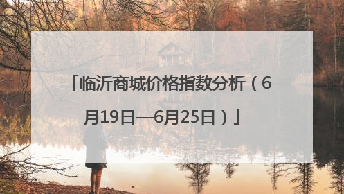 临沂商城价格指数分析（6月19日—6月25日）