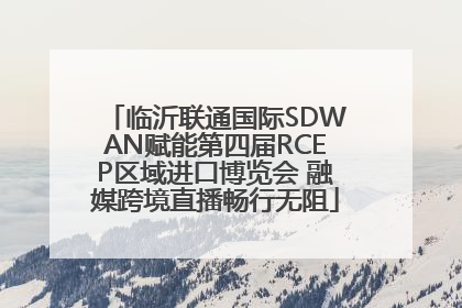 临沂联通国际SDWAN赋能第四届RCEP区域进口博览会 融媒跨境直播畅行无阻