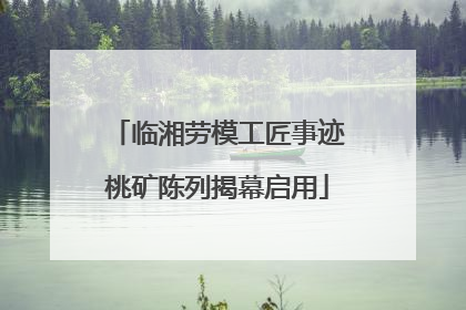 临湘劳模工匠事迹桃矿陈列揭幕启用