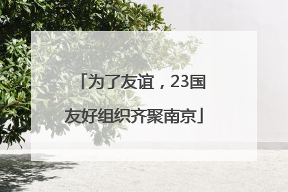 为了友谊，23国友好组织齐聚南京