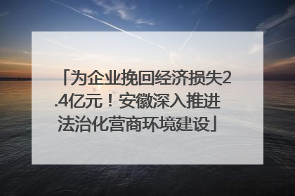 为企业挽回经济损失2.4亿元！安徽深入推进法治化营商环境建设
