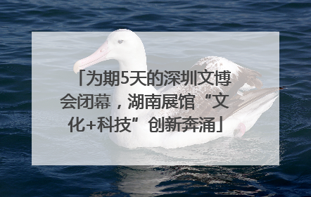 为期5天的深圳文博会闭幕，湖南展馆“文化+科技”创新奔涌