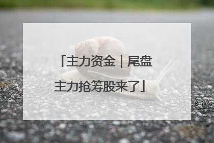主力资金｜尾盘主力抢筹股来了