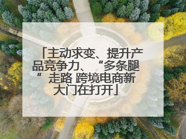 主动求变、提升产品竞争力、“多条腿”走路 跨境电商新大门在打开