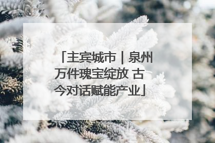 主宾城市｜泉州万件瑰宝绽放 古今对话赋能产业