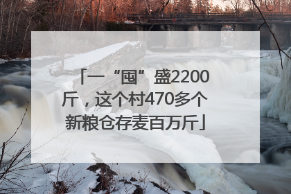 一“囤”盛2200斤，这个村470多个新粮仓存麦百万斤