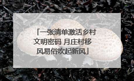 一张清单激活乡村文明密码 月庄村移风易俗吹起新风