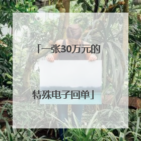 一张30万元的特殊电子回单