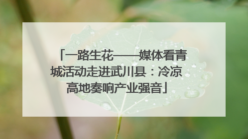 一路生花——媒体看青城活动走进武川县：冷凉高地奏响产业强音