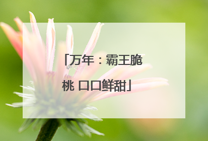 万年：霸王脆桃 口口鲜甜