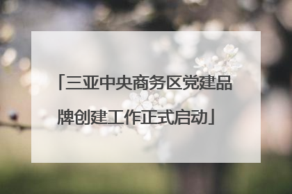 三亚中央商务区党建品牌创建工作正式启动