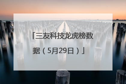 三友科技龙虎榜数据（5月29日）