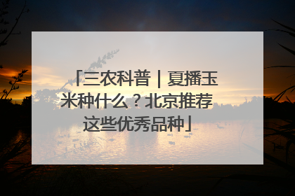 三农科普｜夏播玉米种什么？北京推荐这些优秀品种