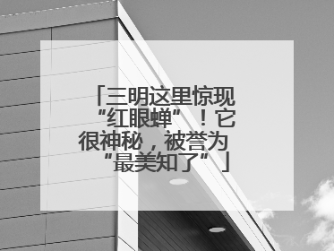 三明这里惊现“红眼蝉”！它很神秘，被誉为“最美知了”