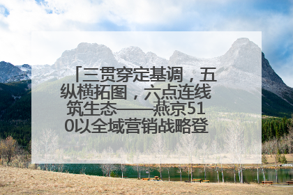 三贯穿定基调，五纵横拓图，六点连线筑生态——燕京510以全域营销战略登顶行业IP新高度