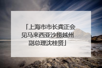 上海市市长龚正会见马来西亚沙捞越州副总理沈桂贤