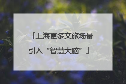 上海更多文旅场景引入“智慧大脑”