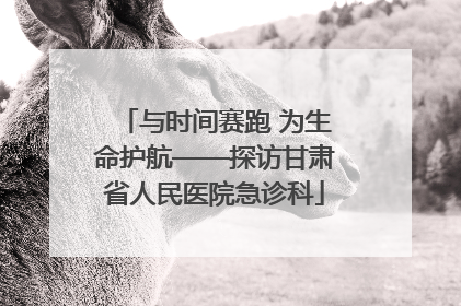 与时间赛跑 为生命护航——探访甘肃省人民医院急诊科