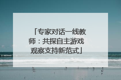 专家对话一线教师：共探自主游戏观察支持新范式