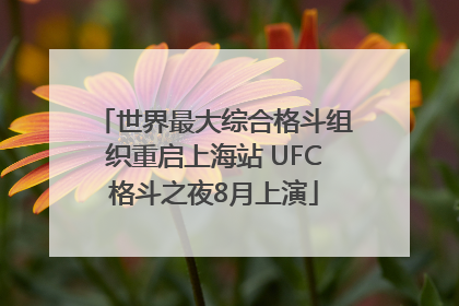世界最大综合格斗组织重启上海站 UFC格斗之夜8月上演