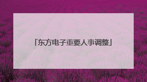 东方电子重要人事调整