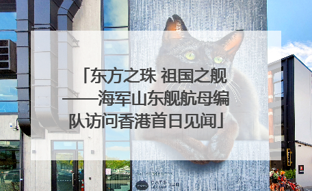 东方之珠 祖国之舰——海军山东舰航母编队访问香港首日见闻