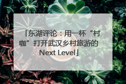 东湖评论：用一杯“村咖”打开武汉乡村旅游的Next Level