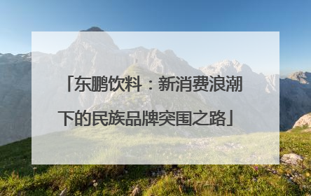 东鹏饮料：新消费浪潮下的民族品牌突围之路
