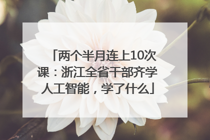 两个半月连上10次课：浙江全省干部齐学人工智能，学了什么