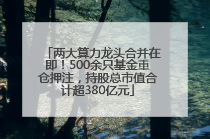 两大算力龙头合并在即！500余只基金重仓押注，持股总市值合计超380亿元