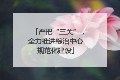 严把“三关”，全力推进综治中心规范化建设