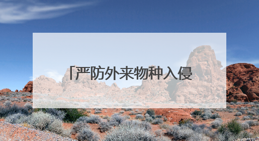 严防外来物种入侵｜西部黑寡妇蜘蛛