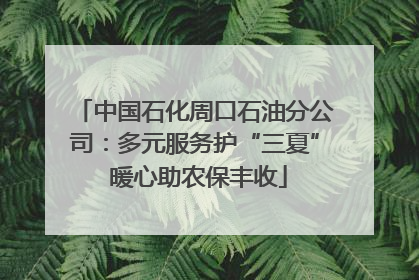 中国石化周口石油分公司：多元服务护“三夏” 暖心助农保丰收