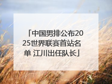 中国男排公布2025世界联赛首站名单 江川出任队长