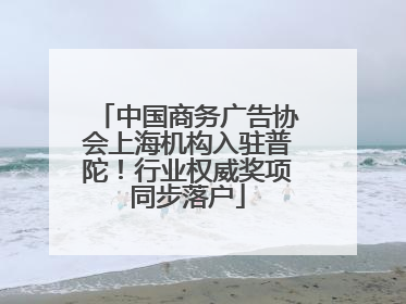 中国商务广告协会上海机构入驻普陀！行业权威奖项同步落户