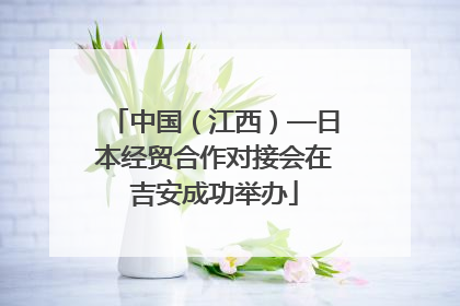 中国（江西）—日本经贸合作对接会在吉安成功举办
