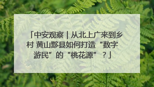 中安观察｜从北上广来到乡村 黄山黟县如何打造“数字游民”的“桃花源”？