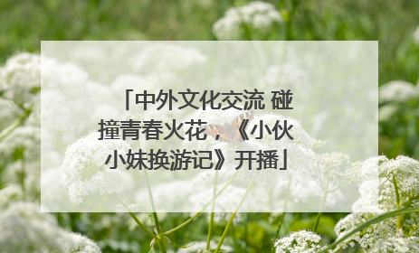 中外文化交流 碰撞青春火花，《小伙小妹换游记》开播