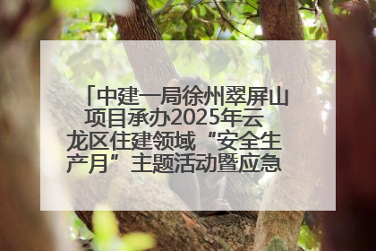 中建一局徐州翠屏山项目承办2025年云龙区住建领域“安全生产月”主题活动暨应急救援演练观摩会