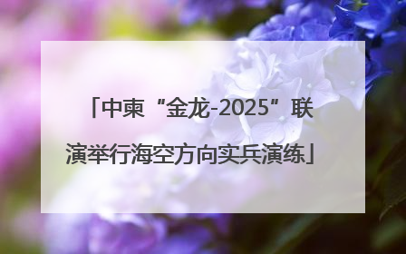 中柬“金龙-2025”联演举行海空方向实兵演练