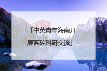 中英青年海南开展蓝碳科研交流