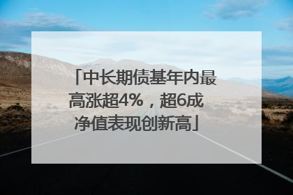 中长期债基年内最高涨超4%，超6成净值表现创新高