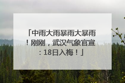 中雨大雨暴雨大暴雨！刚刚，武汉气象官宣：18日入梅！