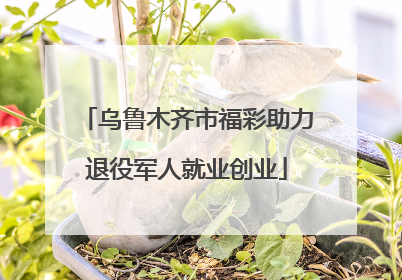 乌鲁木齐市福彩助力退役军人就业创业