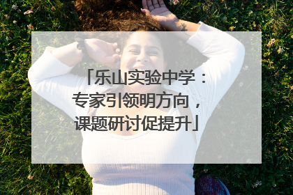 乐山实验中学：专家引领明方向，课题研讨促提升