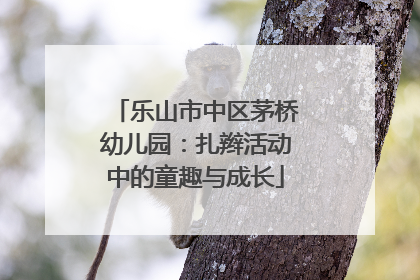 乐山市中区茅桥幼儿园：扎辫活动中的童趣与成长