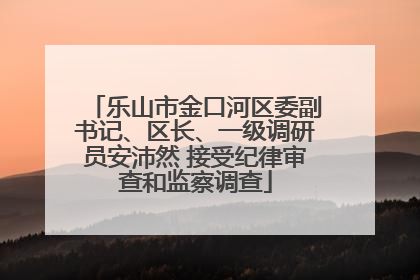 乐山市金口河区委副书记、区长、一级调研员安沛然 接受纪律审查和监察调查