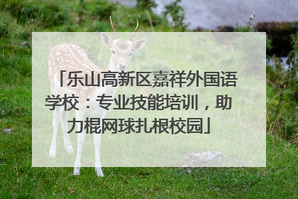 乐山高新区嘉祥外国语学校：专业技能培训，助力棍网球扎根校园