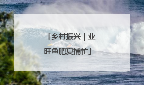 乡村振兴｜业旺鱼肥夏捕忙